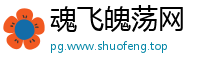 魂飞魄荡网